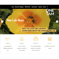 Thumbnail for One Tam website with bee on yellow flower